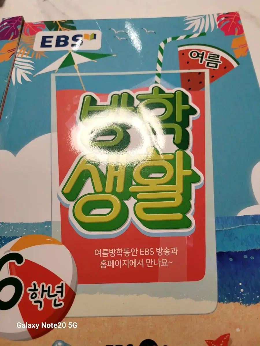 EBS여름방학생활6학년