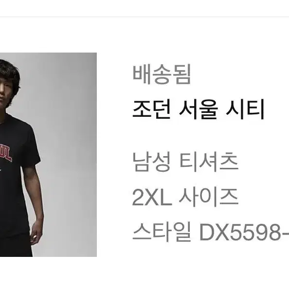 나이키 조던 서울 시티 반팔 xxl