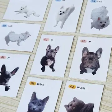 띠부띠부씰 제작 | 브랜드 중고거래 플랫폼, 번개장터 띠부띠부씰 제작 | 브랜드 중고거래 플랫폼, 번개장터