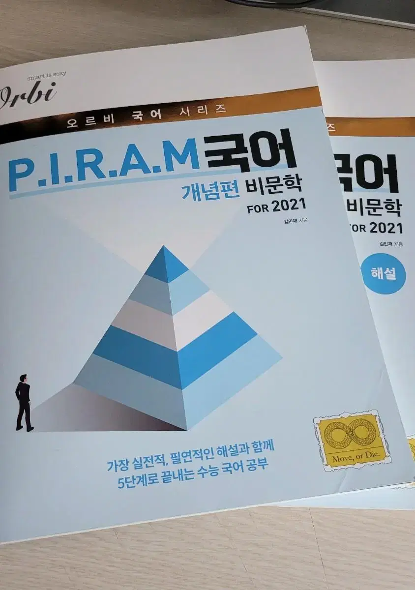 피램 PIRAM 개념편 비문학