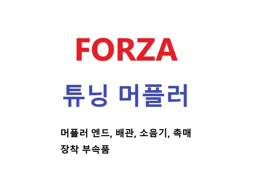 Forza 300 350 adv350 포르자 튜닝 머플러