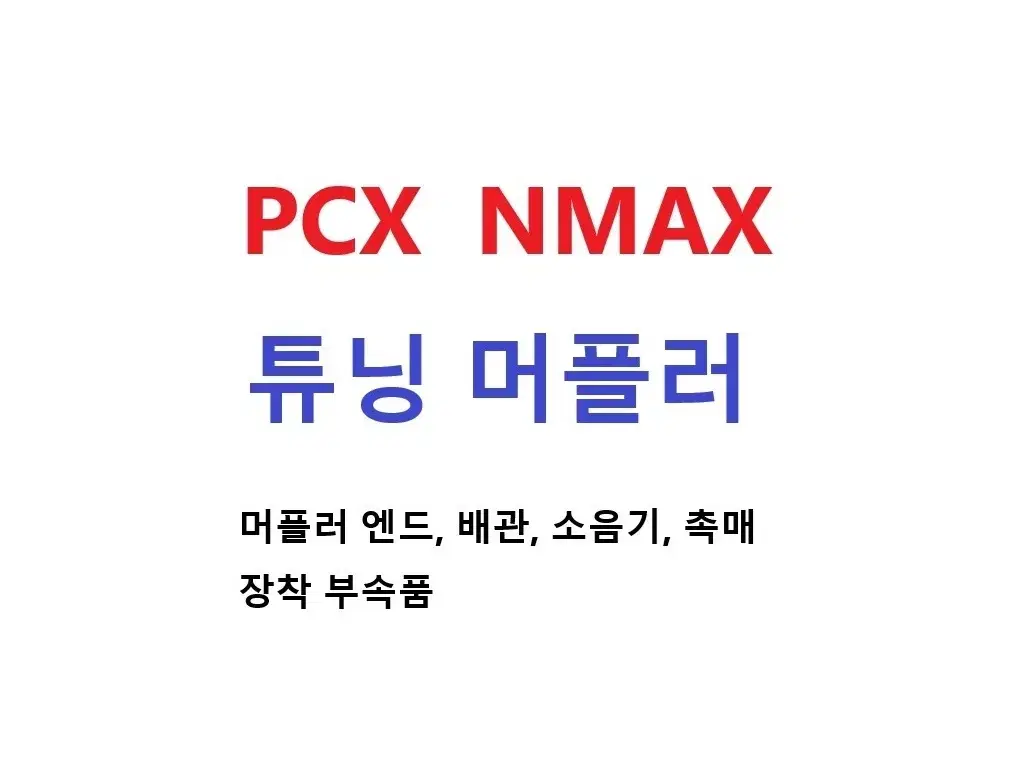 Nmax Pcx 에어록스 125 튜닝 머플러