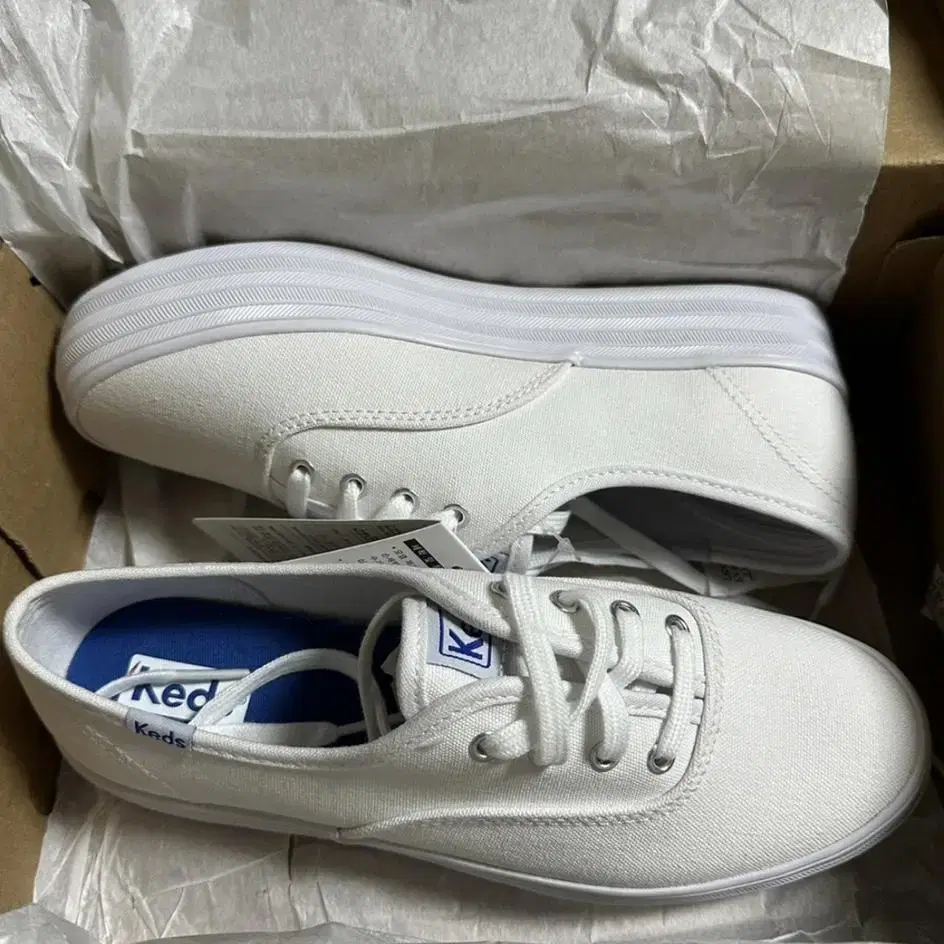 keds 캔버스화 230mm (새상품)