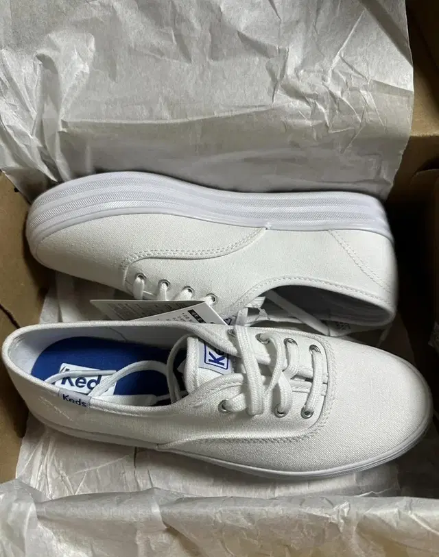 keds 캔버스화 230mm (새상품)