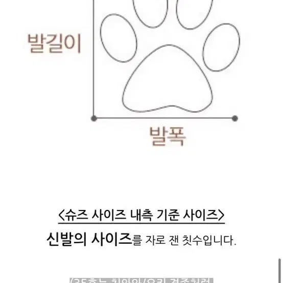 강아지 신발