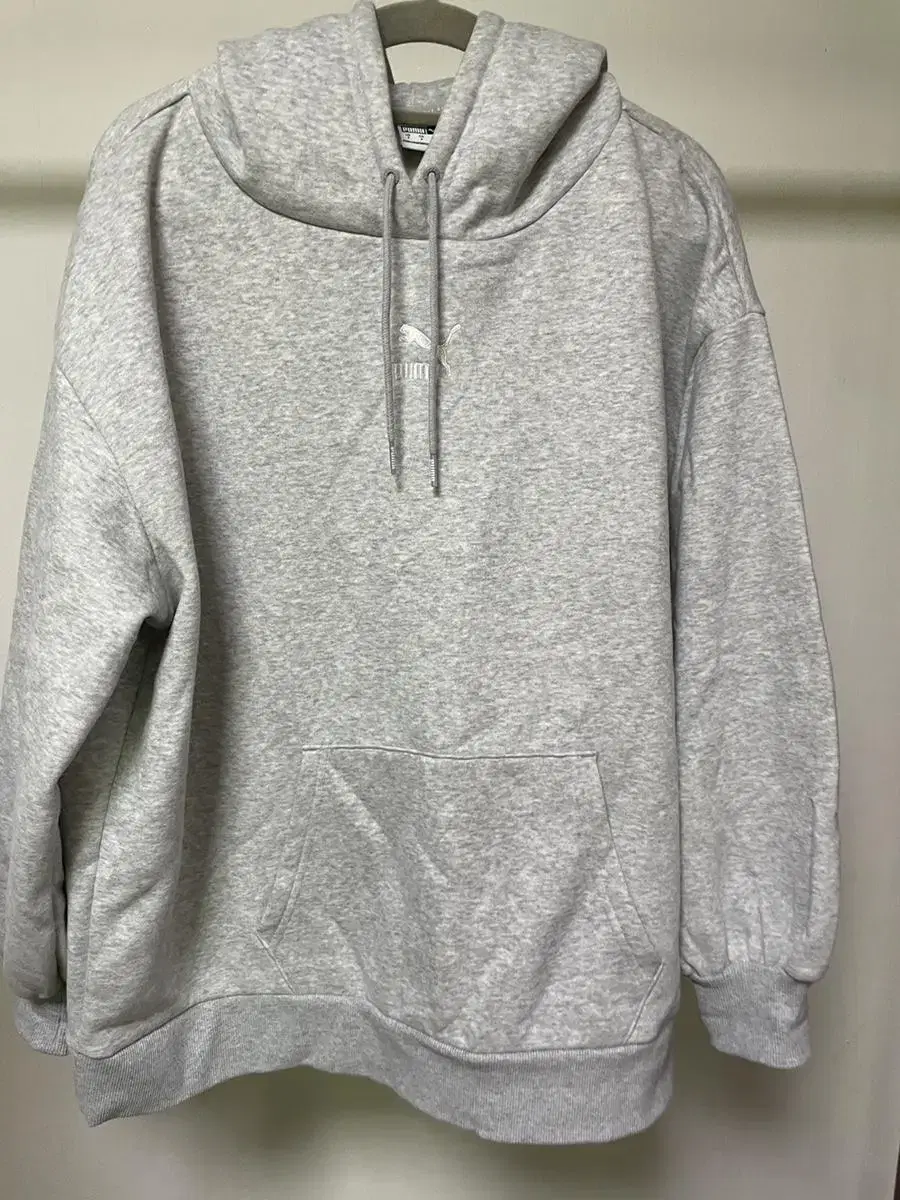 Puma Brushed Hoodie