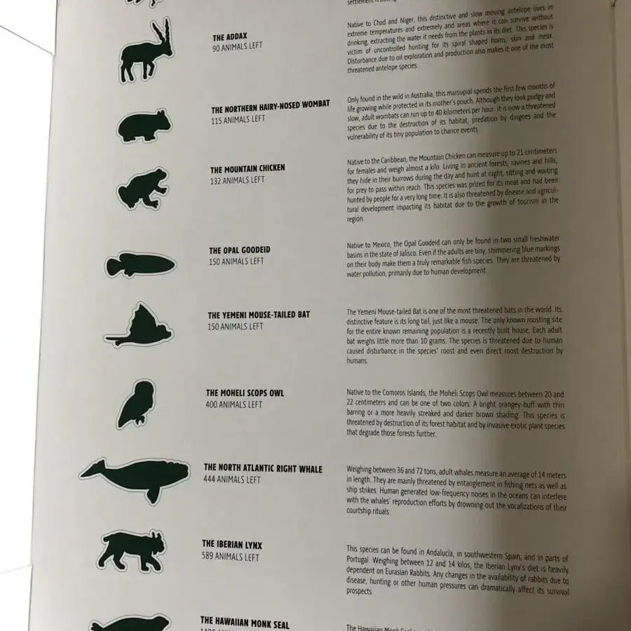 [한정판] 라코스테 국제자연보존연맹(IUCN) 피케셔츠