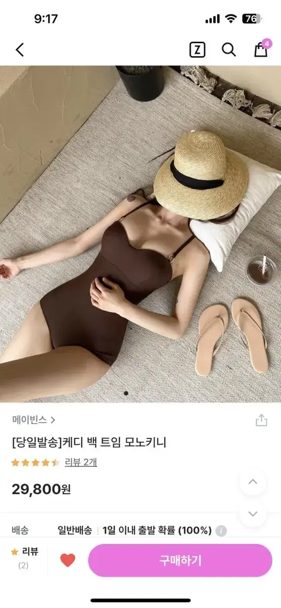 브라운 모노키니