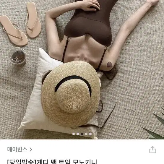 브라운 모노키니