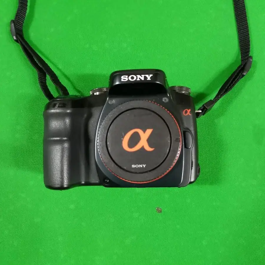 SONY A100 디카