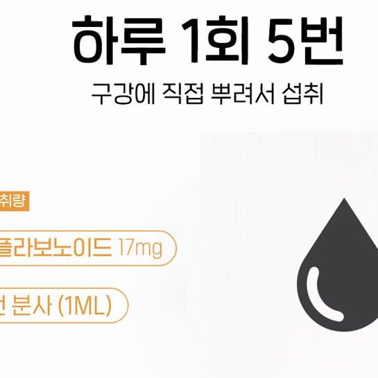 뉴질랜드 플라보노이드 기관지 올리브잎추출 프로폴리스 스프레이 30ml