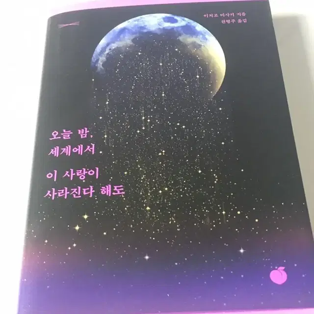 오늘 밤, 세계에서 이 사랑이 사라진다 해도 소설