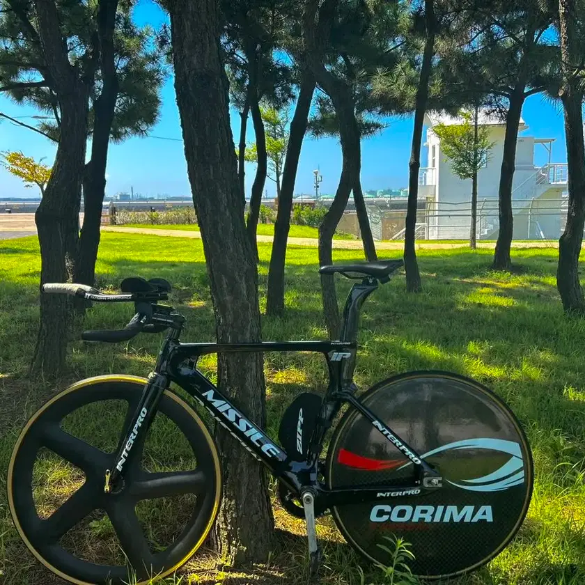 Interpromissory Slowdown #픽시대차,#픽시트랙차,#풀카본픽시,#인터프로미사일 on Bunjang Global ...