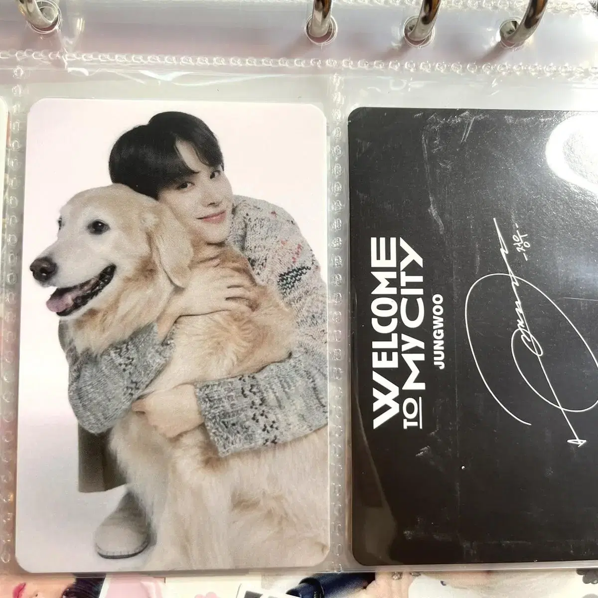 NCT Home Exhibition Macaron Set Fatcaron Jungwoo Photocard WTS