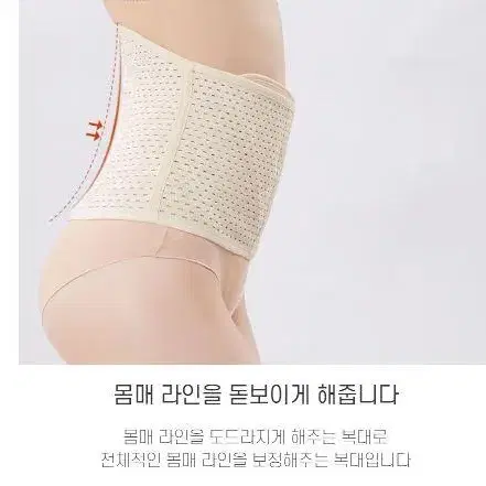 허리 뱃살 똥배 몸매 보정 속옷 거들 복대