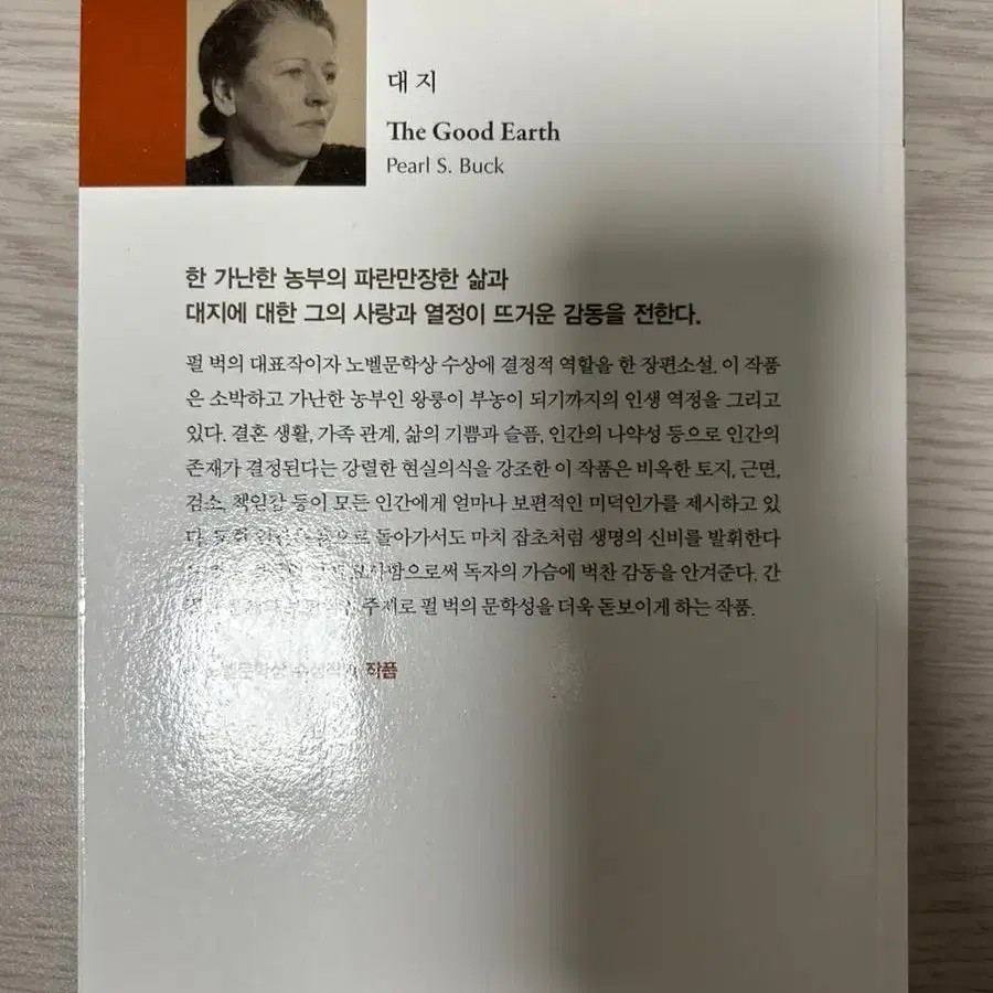 (완전 새거) 문학소설 '대지' 책