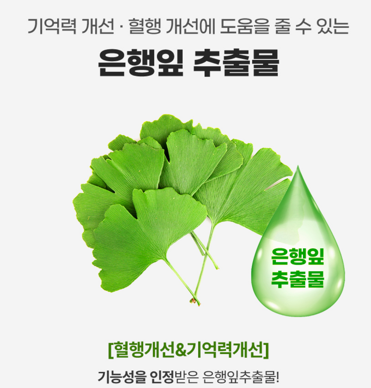 1+1 5중기능성 총60정 기억력 혈행개선 은행잎 콜레스테롤 혈관 엽산