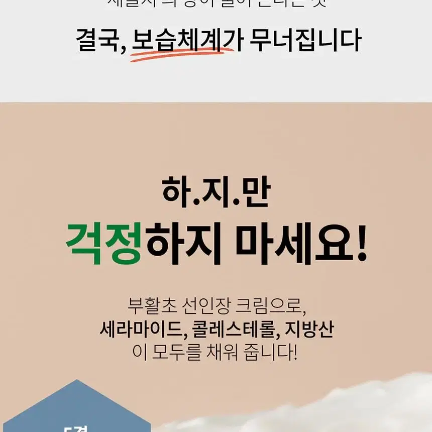 세라마이드 수분 보습 부활초 크림 피부장벽 회복 피부진정 피부면역