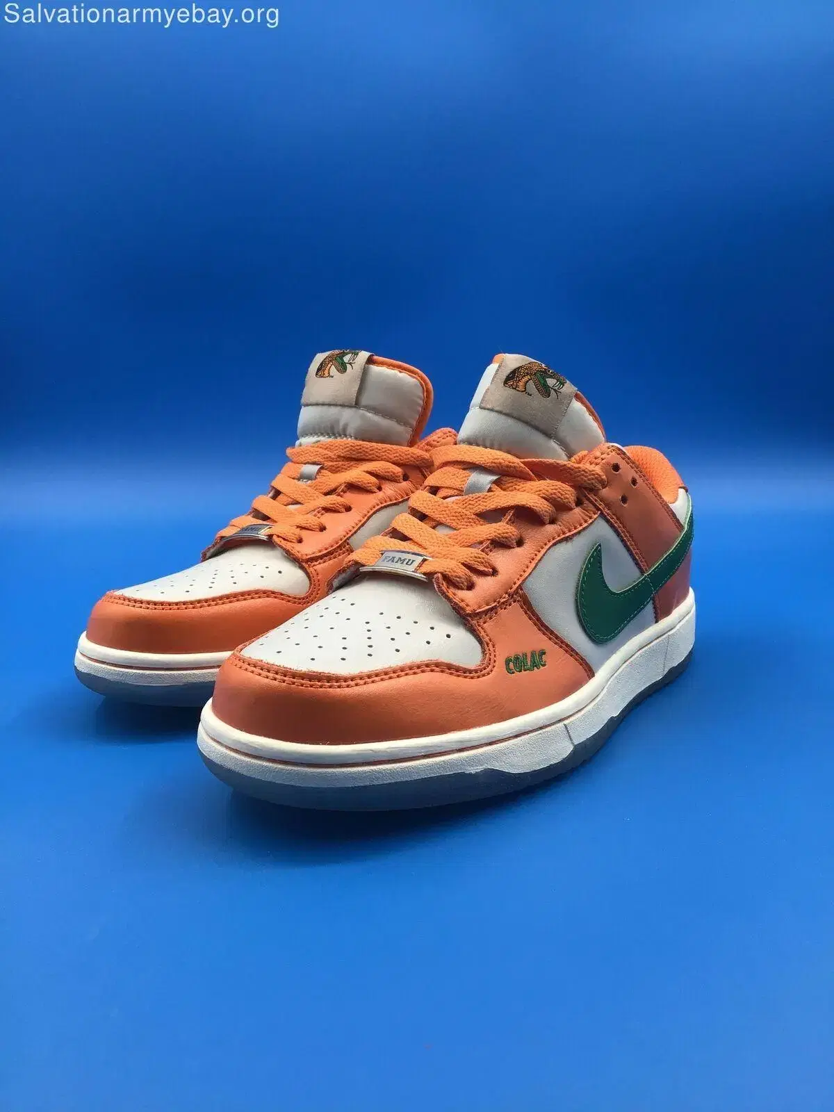 Nike Dunk x Florida A&M University 7.5 255 size sold