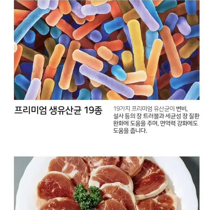 강아지 영양제