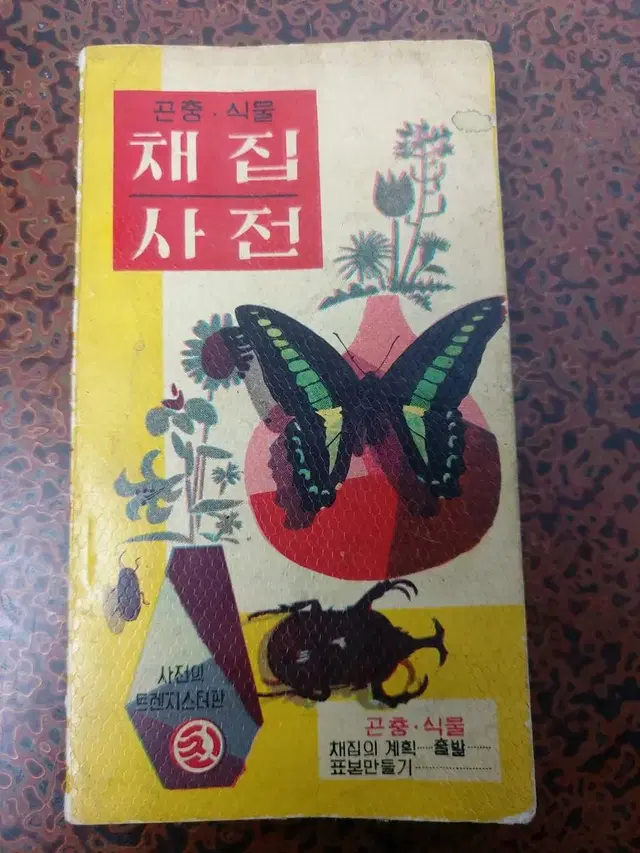 근대사 수집 자료 도서 국민학교 곤충 식물 채집 사전 62년