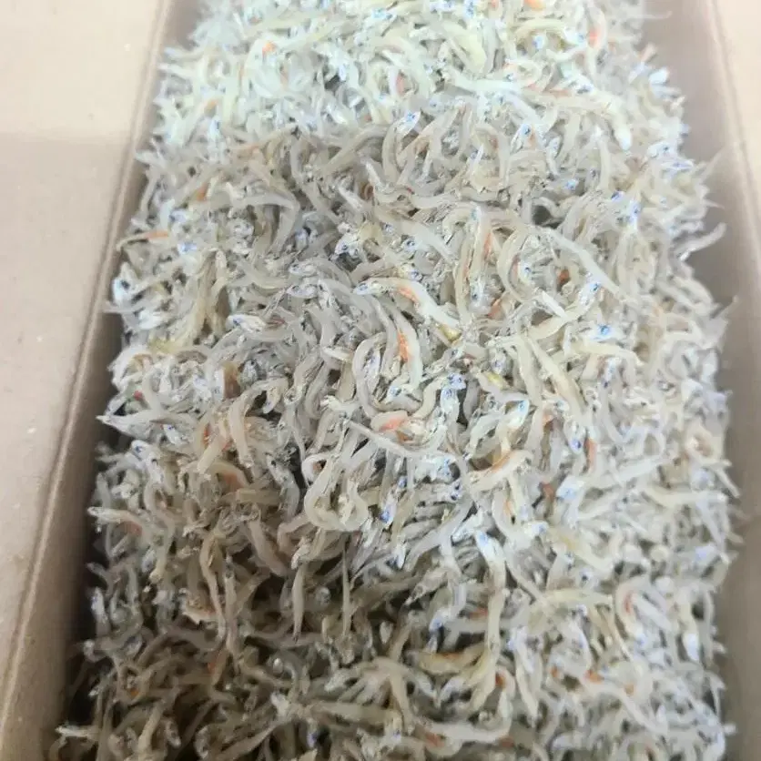 최고급 알배기 지리멸치 볶음용 남해안 (750g/1.5kg)