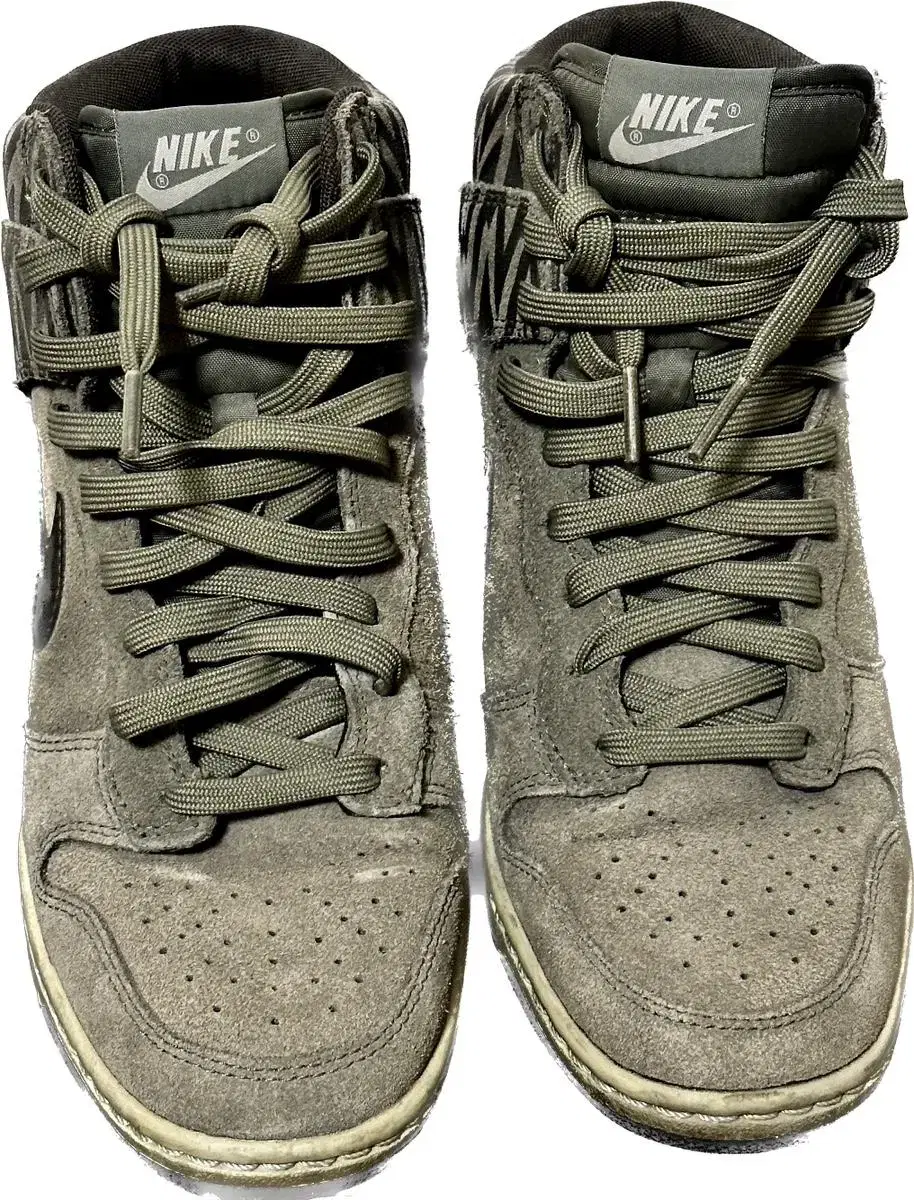 Nike Dunk Sky High (255) Khaki 543258-302