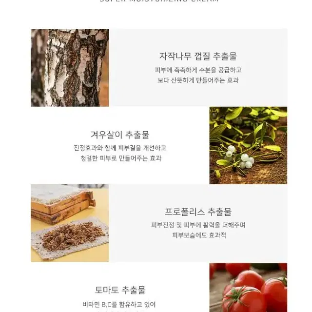 씨씨글로우 슈퍼워터크림 100g 건조한피부 수분공급 천연 식물성 함유