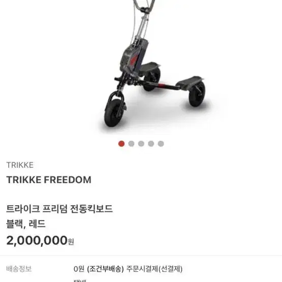 트라이크 프리덤 킥보드