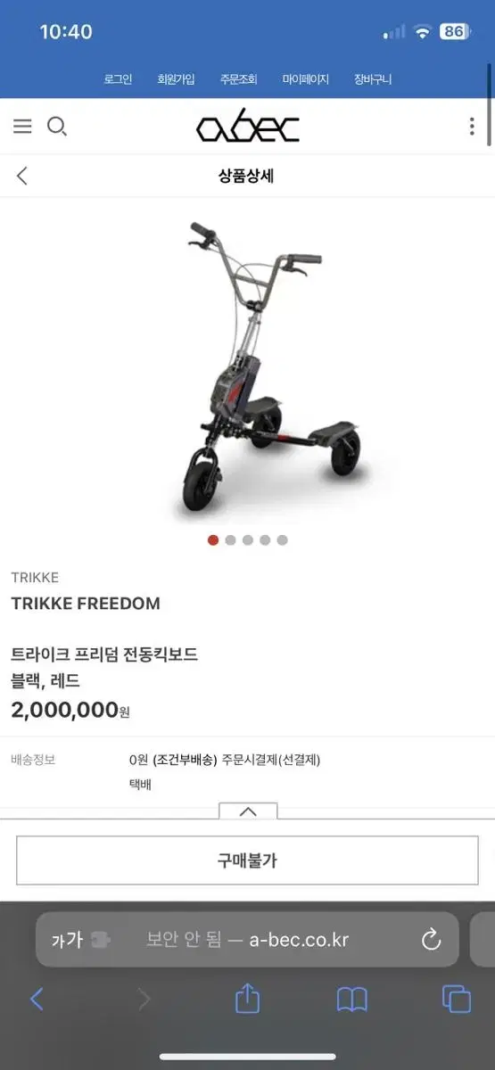 트라이크 프리덤 킥보드