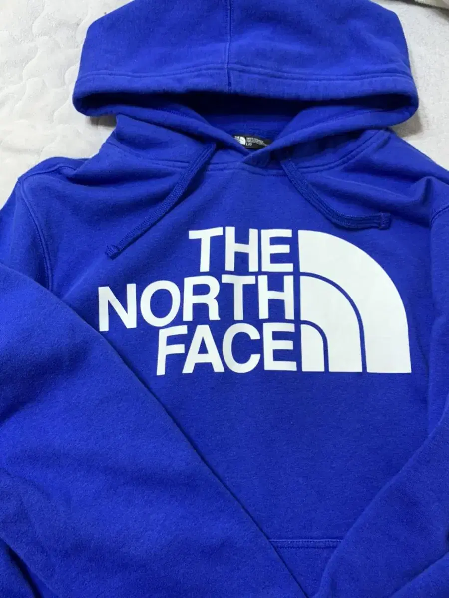 The North Face Hoodie (price reduced)