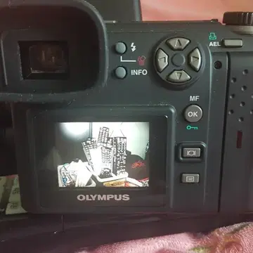 OLYMPUS E-100RS 【超歓迎された】 家電・スマホ・カメラ | bca.edu.gr