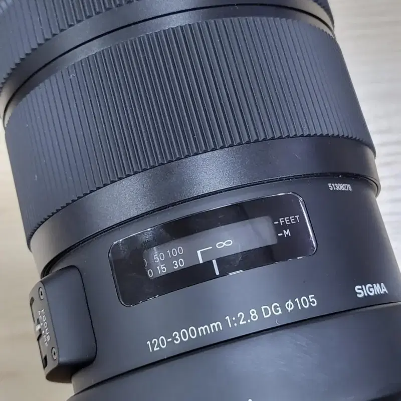 시그마 120-300mm f2.8 dg 스포츠 니콘용 60-600mm
