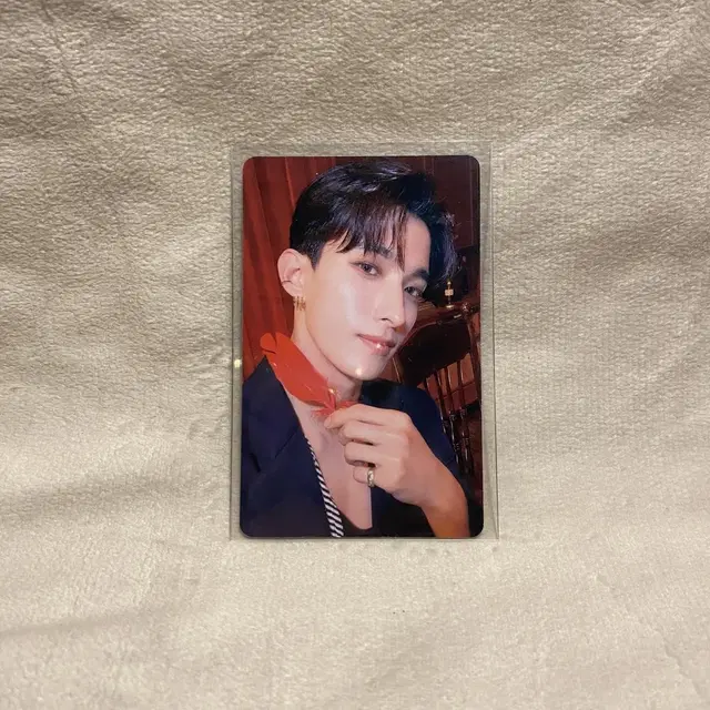 세븐틴 2023 시그 도겸 포카