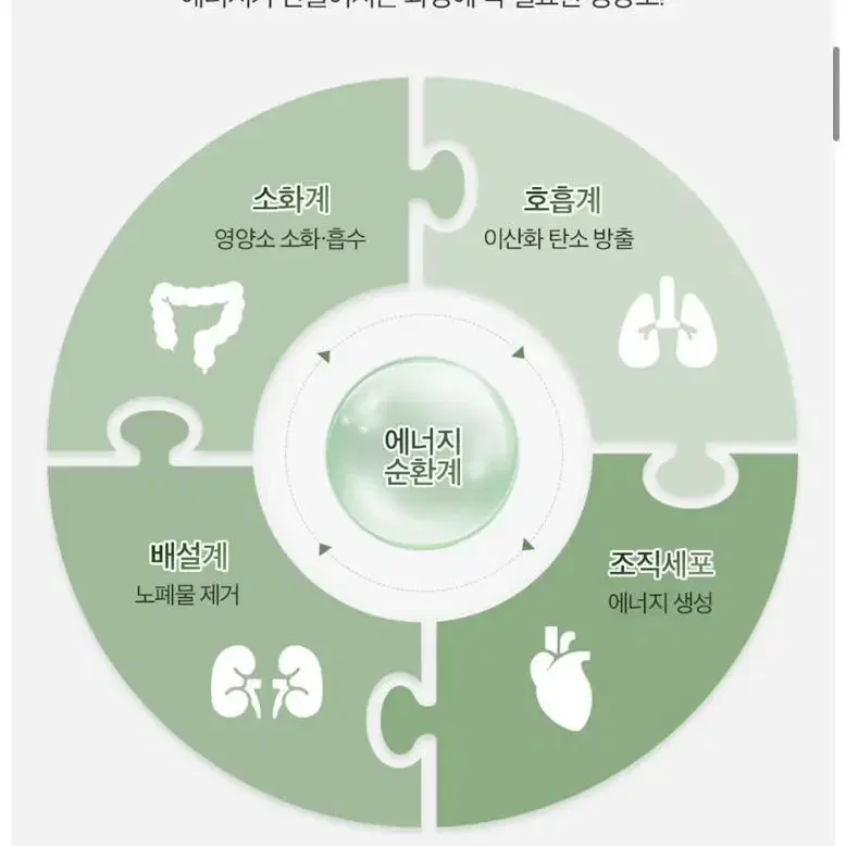 아이멜리 에너지 부스터