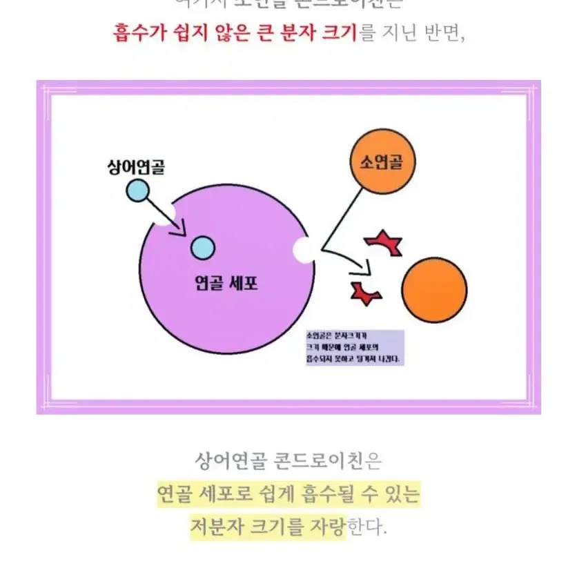 프리미엄 저분자 황산콘드로이친 1300 180정 6개월분 상어연골 우슬