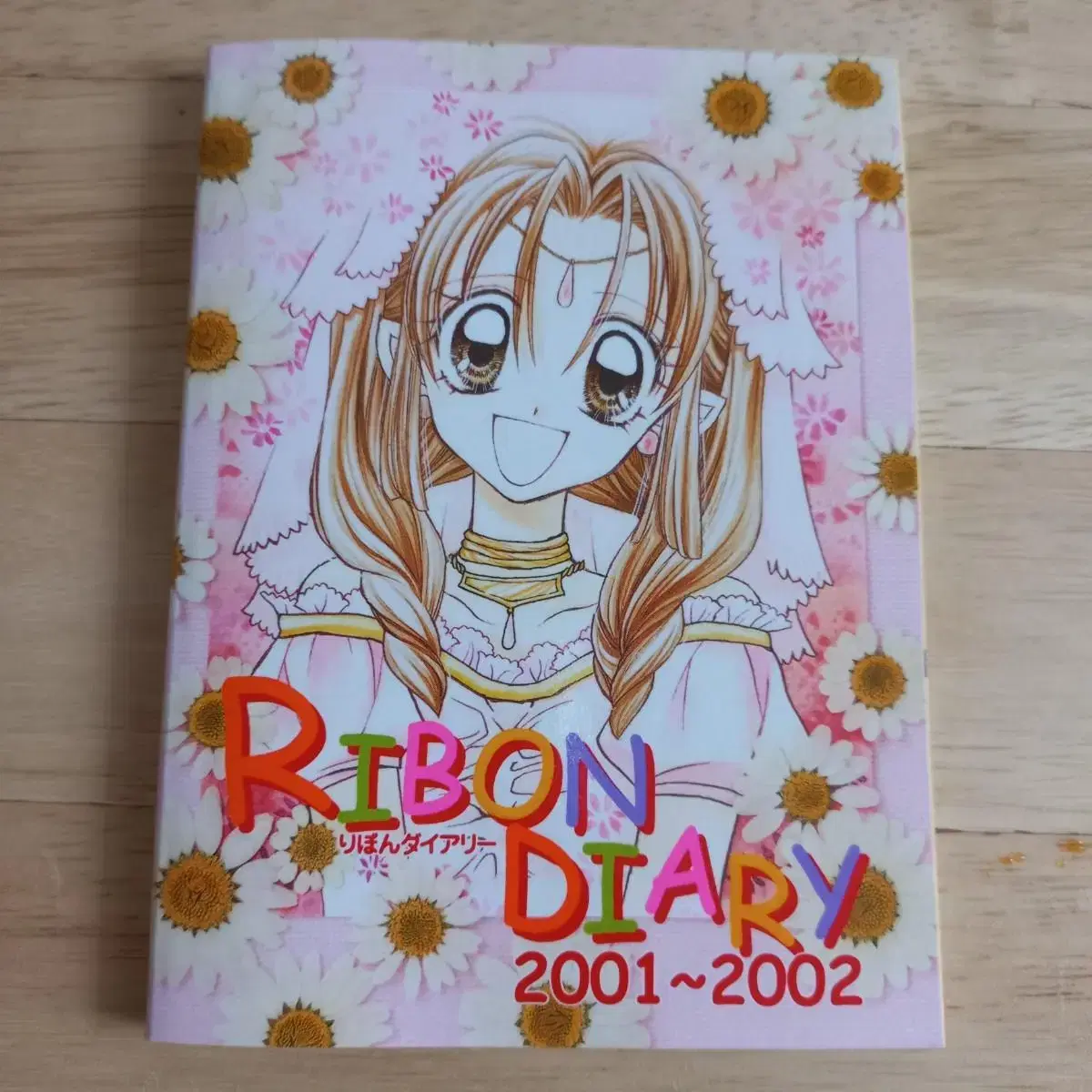 Ribbon Magazine Appendix Diary