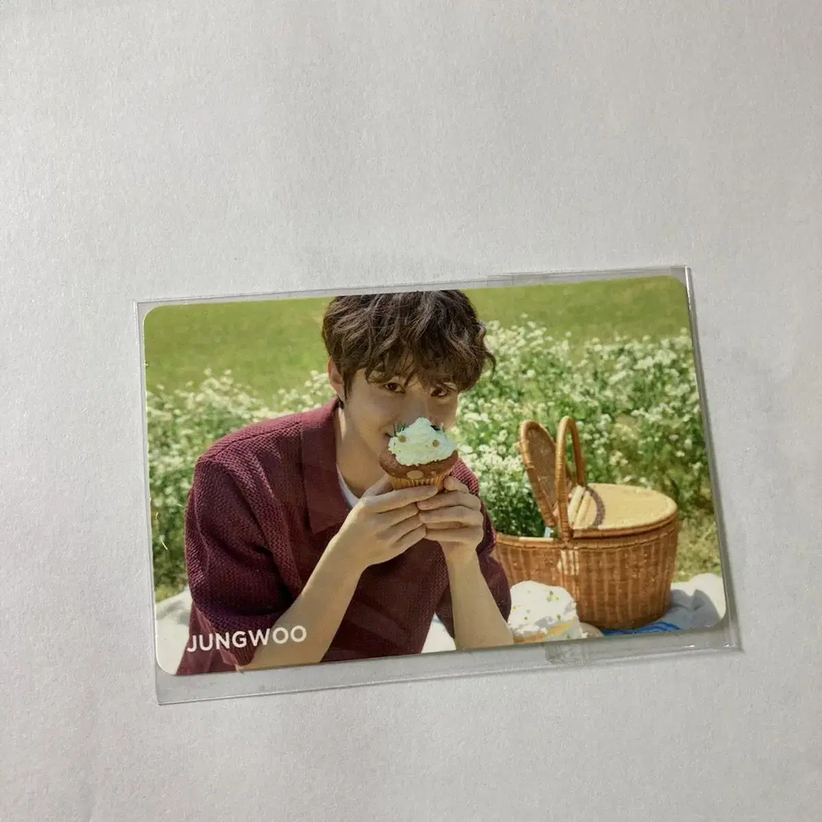 Jungwoo Nature Photocard