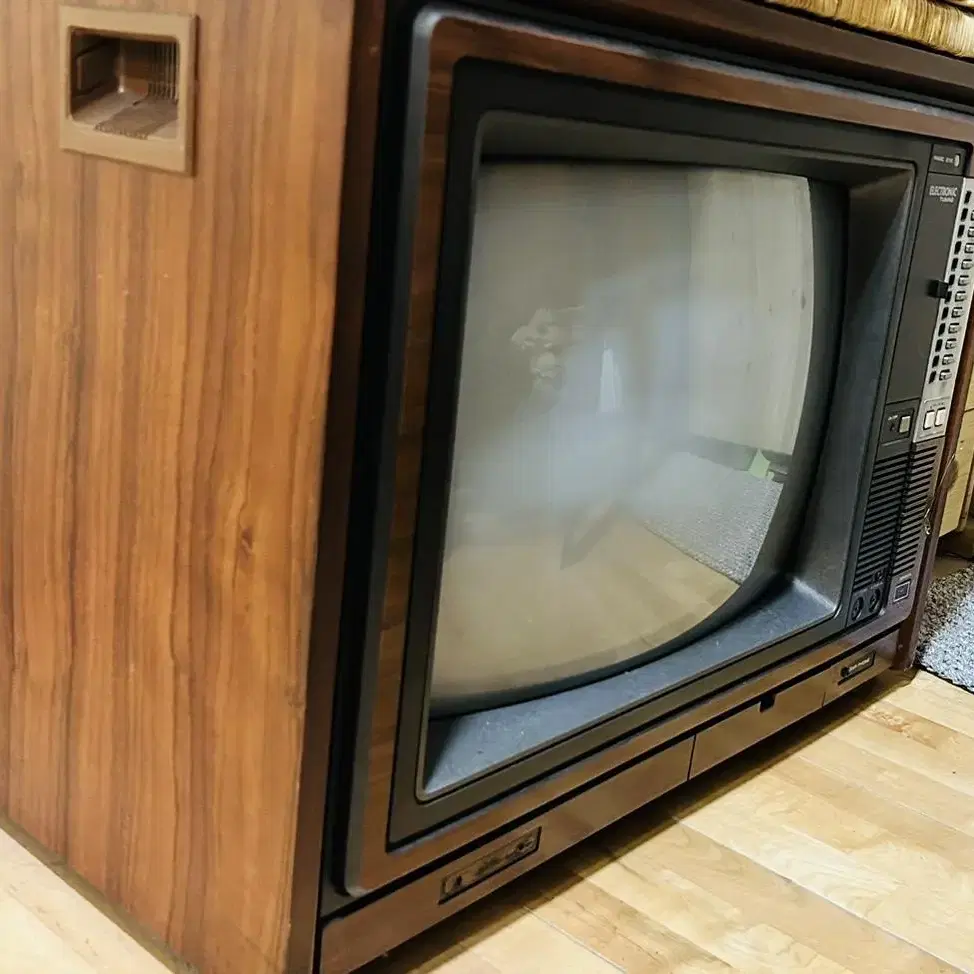 electronic TV