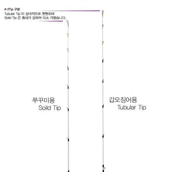 [무배] 바낙스 이카 마스터 쭈꾸미 오징어 루어낚시대 갑오징어 바다낚시