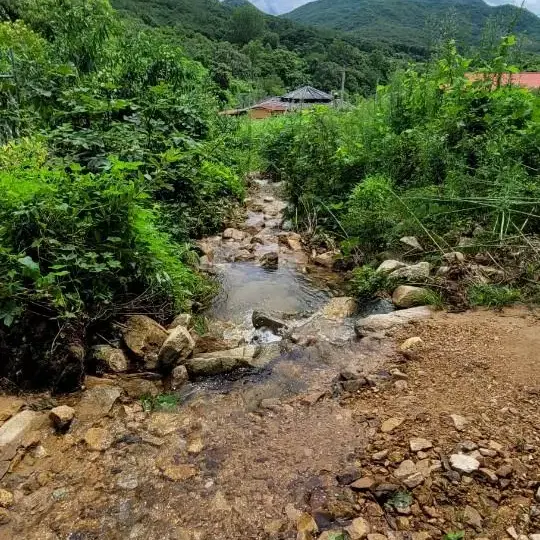 괴산군 청천면 토지