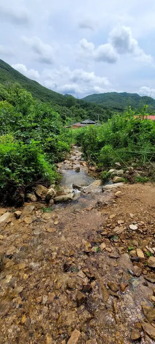 괴산군 청천면 토지