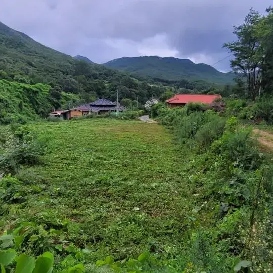 괴산군 청천면 토지