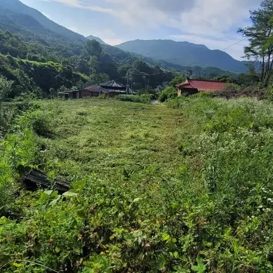 괴산군 청천면 토지