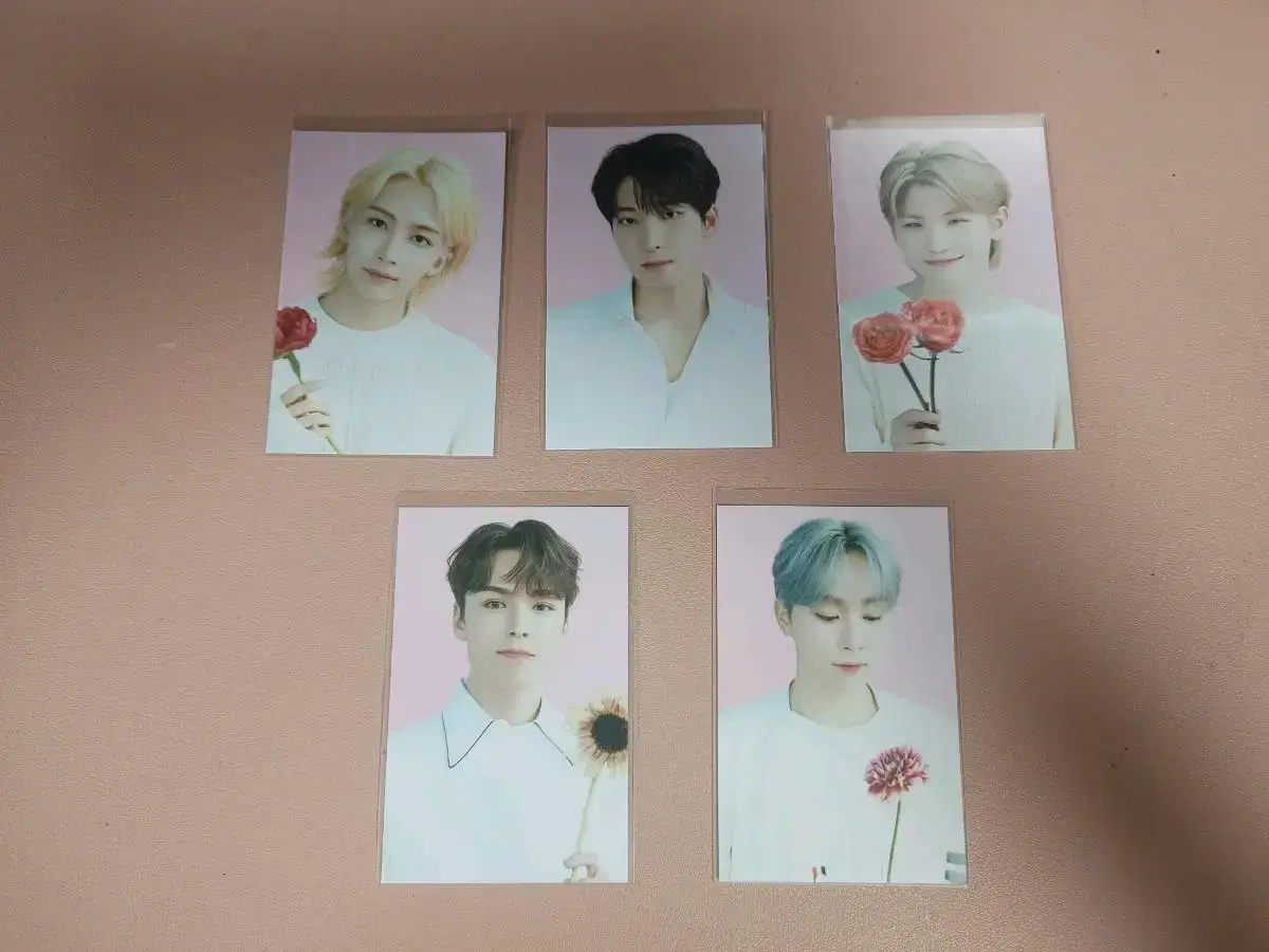 Seventeen Cafe Dessert photocard wts Jeonghan,wonwoo,woozi,seungkwan,vernon Bulk