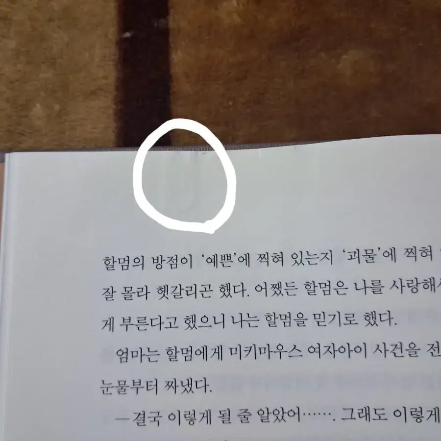 도서판매(아몬드,  방금 떠나온 세계 , 한여름 밤의 꿈 등