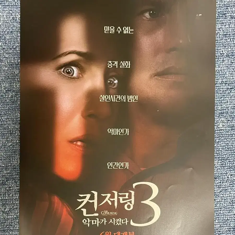 영화 컨저링 3 팜플렛