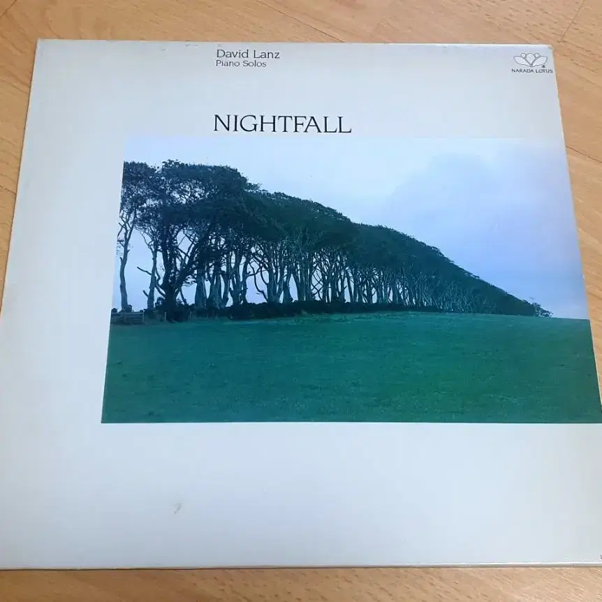 데이빗란츠의 Nightfall LP 팝니다.