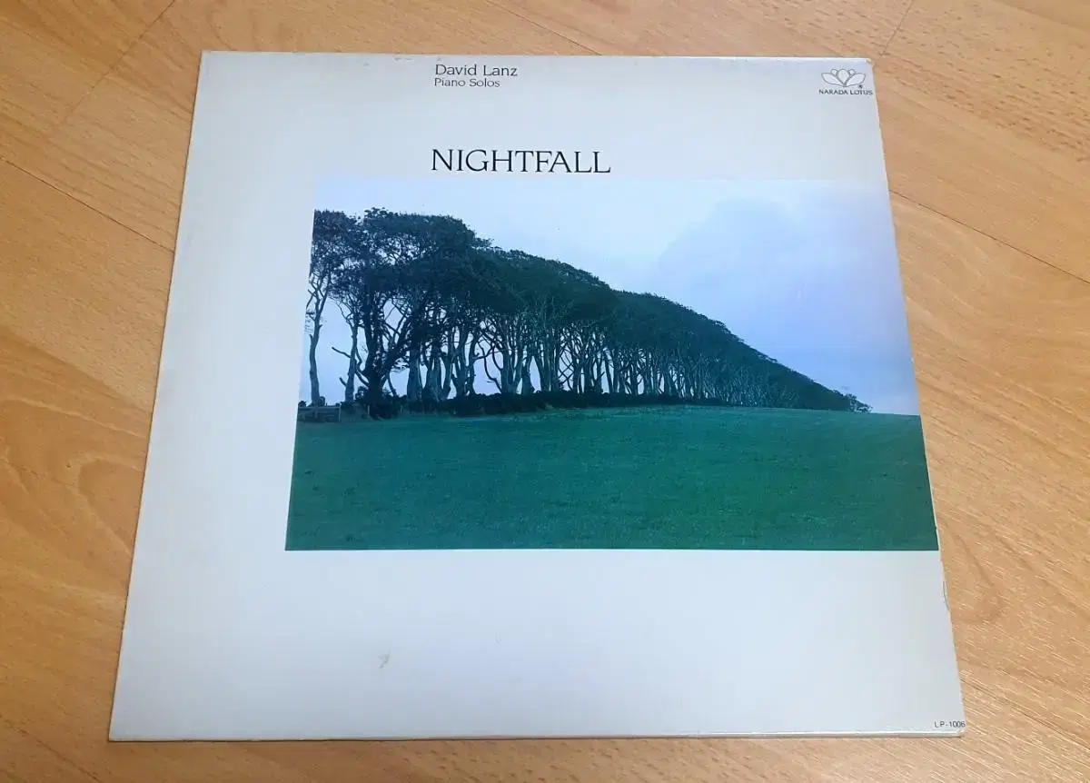 데이빗란츠의 Nightfall LP 팝니다.