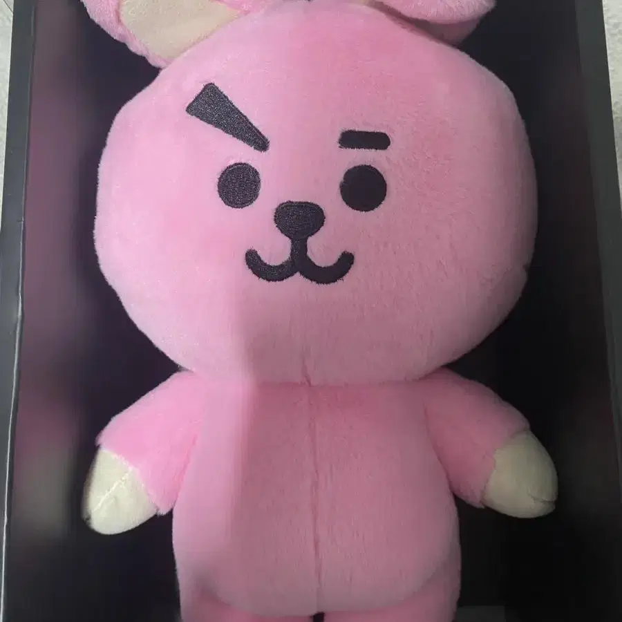 BT21 cooky 쿠키 스텐딩 인형